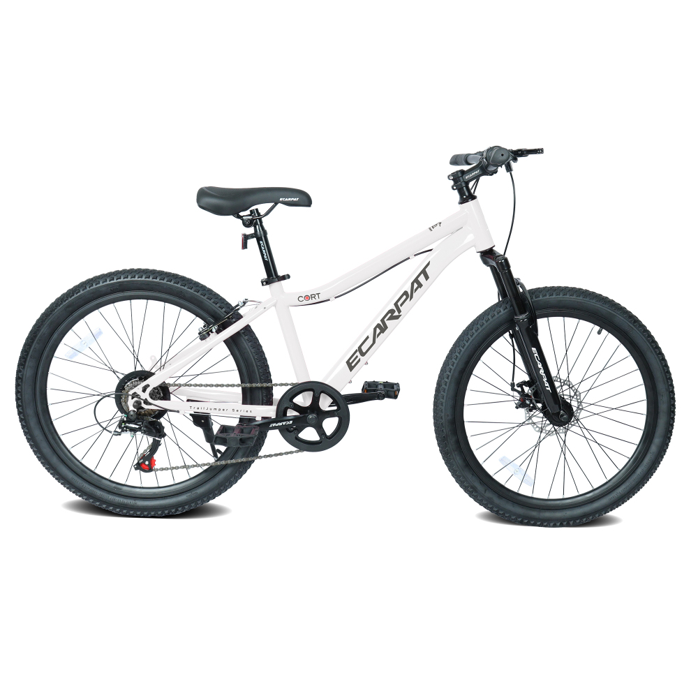 24インチ ユースマウンテンバイク 7段変速＆フロントサスペ - Mountain Biking Youth のレビューと価格